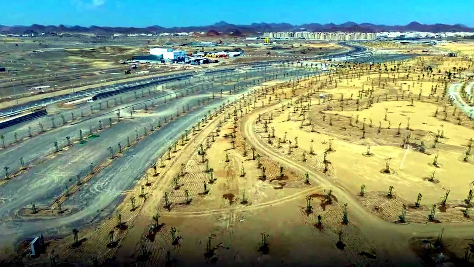 زراعة الأشجار وتنسيق الموقع في حديقة الغروب