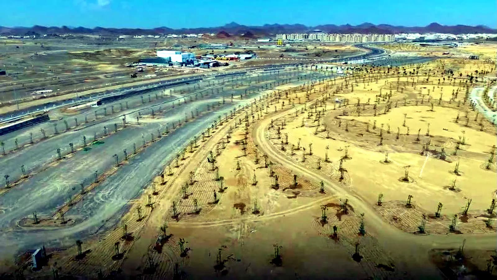 زراعة الأشجار وتنسيق الموقع في حديقة الغروب