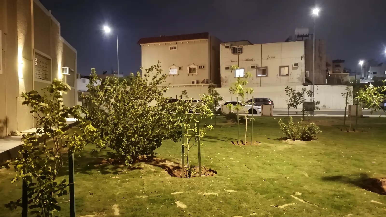 أشجار ومسطحات خضراء مضاءة ليلاً بجوار المباني وأعمدة الإنارة